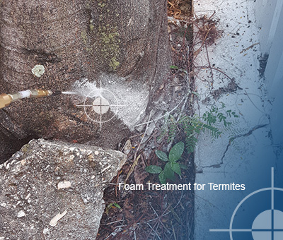 Foam treatmen for termites jamaica